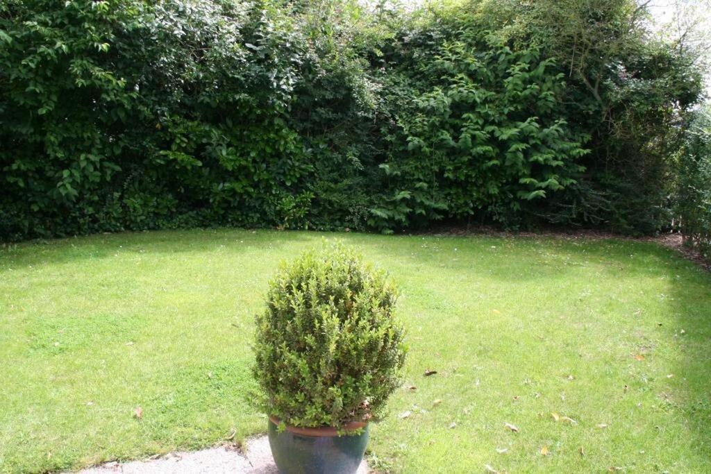 Vakantiehuis Heggerank 54 *